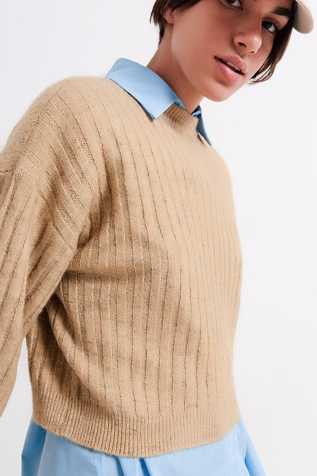 Beige Sweater in Stripe