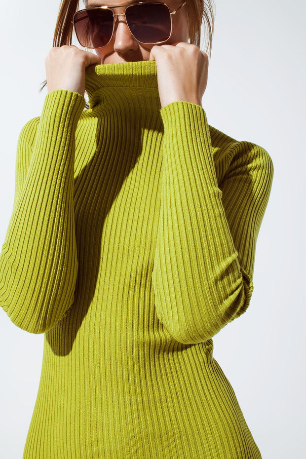 MIDI Dress in Green With Turtle Neck
