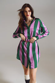 Short Shirt Dress in Lilac and Green Stripe