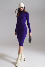 Midi Bodycon Knitted Dress With Turtle Neck in Purple