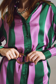 Short Shirt Dress in Lilac and Green Stripe